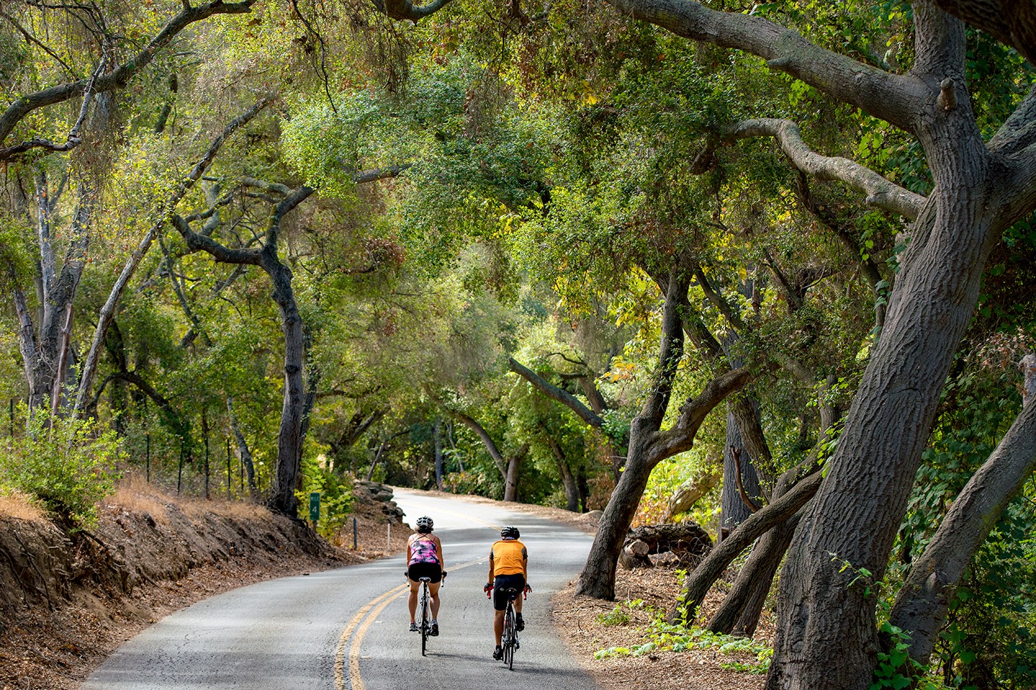 7 Must-Visit Day Trip Destinations Near Temecula Valley in Southern California